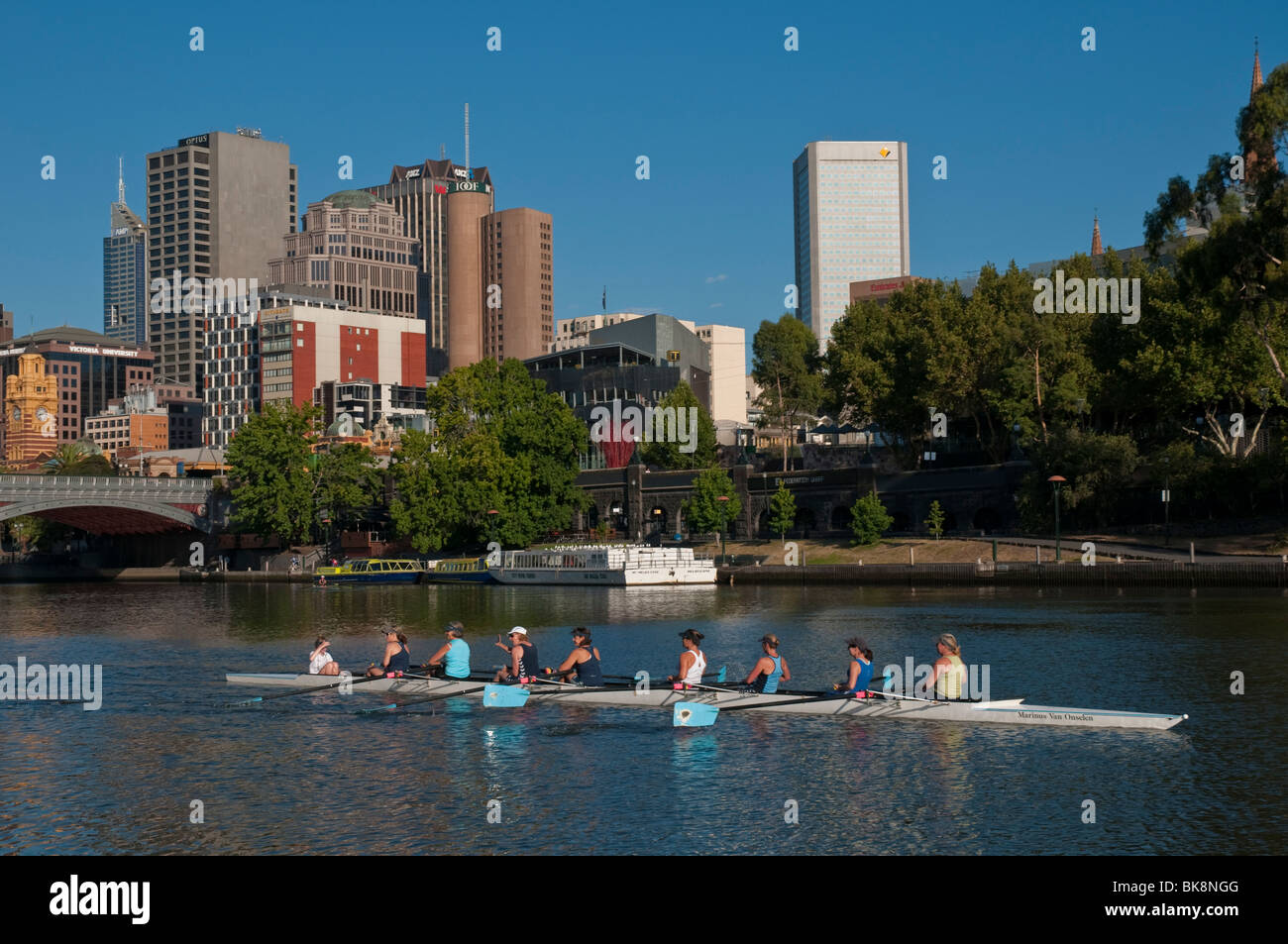 Rowing teams on the Yarra River in Melbourne, Victoria Australia Stock Photo