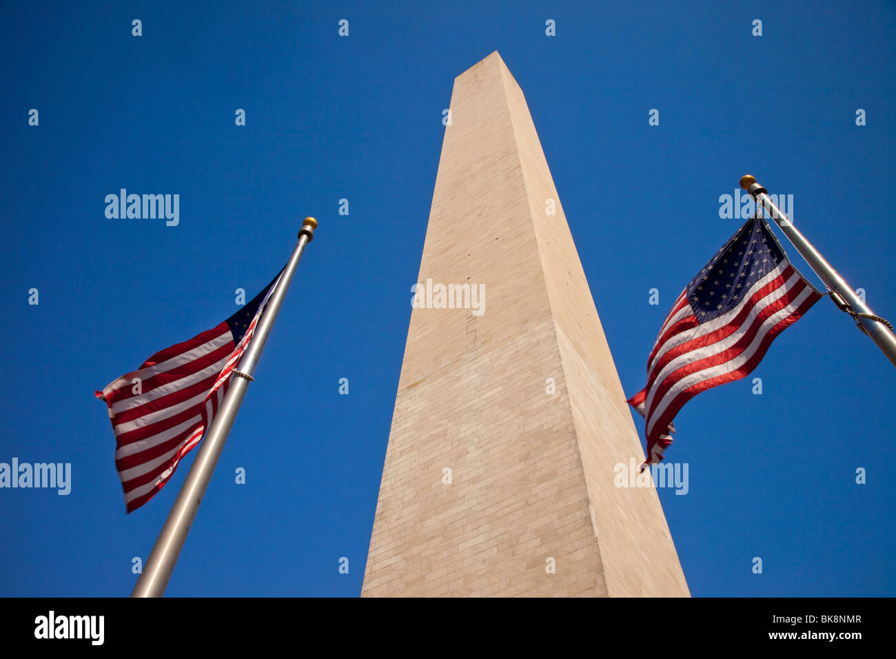American flags flying below the Washington Monument, Washington DC USA Stock Photo