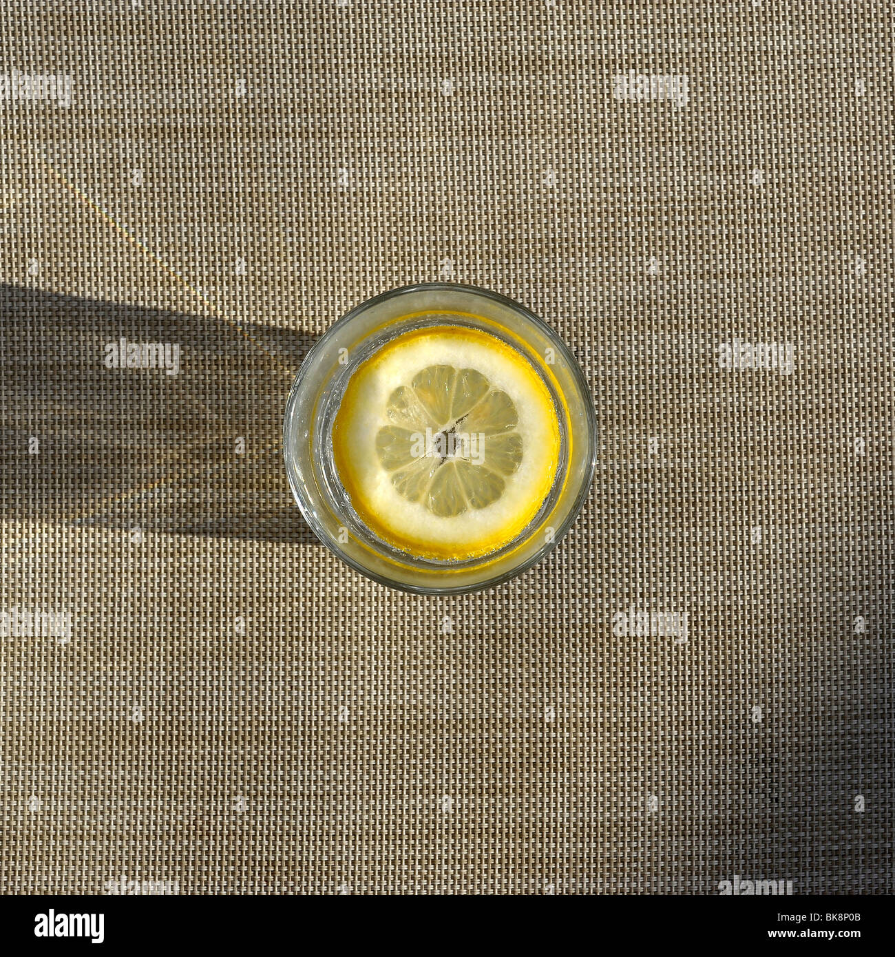 Lemon*Happiness】 レモンの木 シーグラスアート - www.pianocorner.co.nz