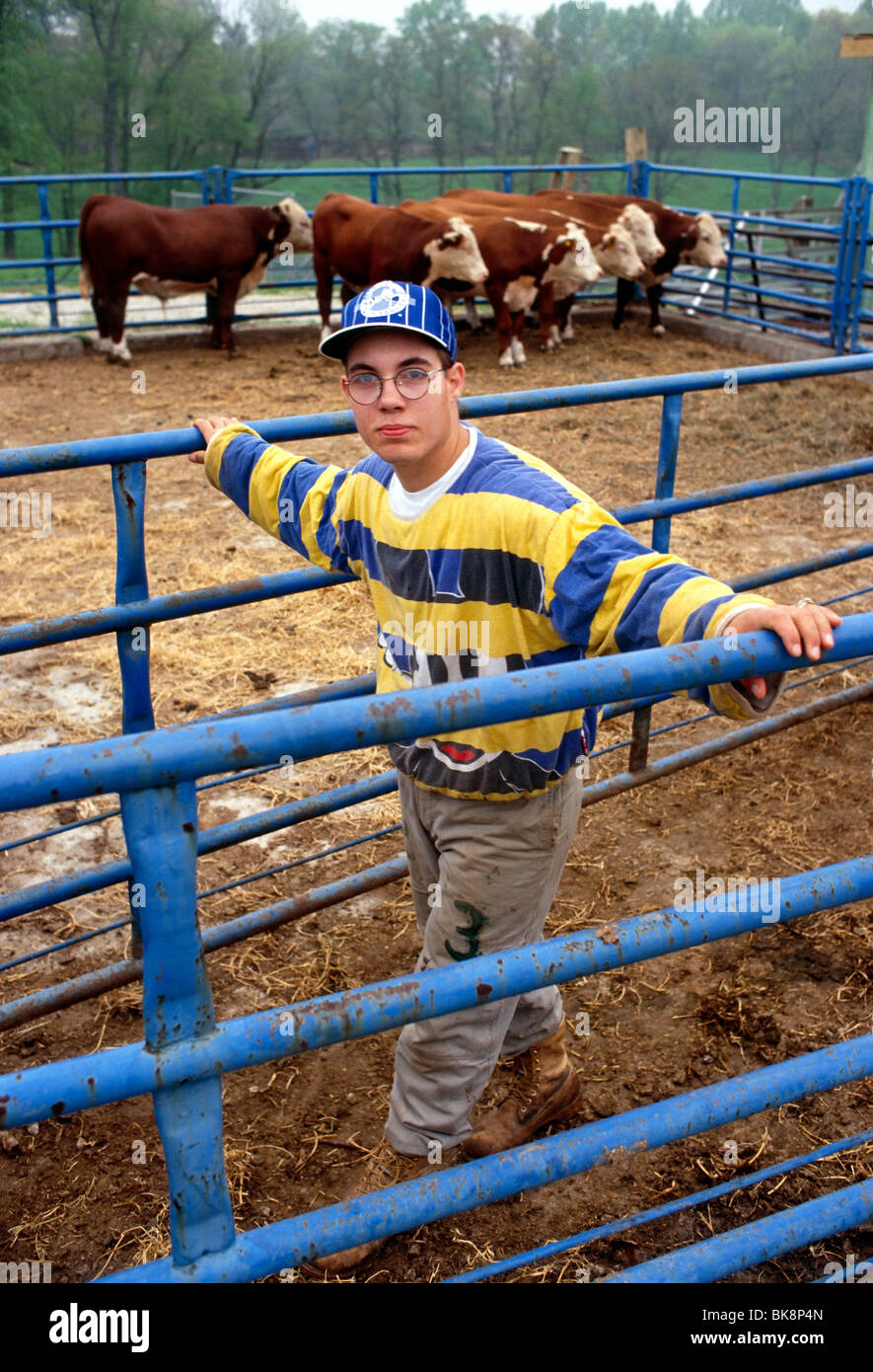 Male high school student in a barnyard corral with cattle, Saul School of Agricultural Science, Philadelphia, Pennsylvania, USA Stock Photo