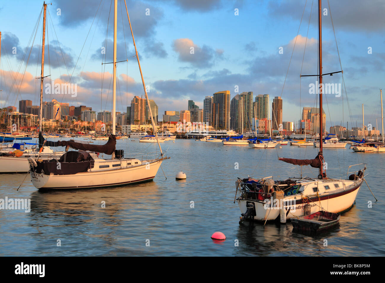 Moored sailboats with San Diego city skyline in background at sunset-San Diego, California, USA. Stock Photo
