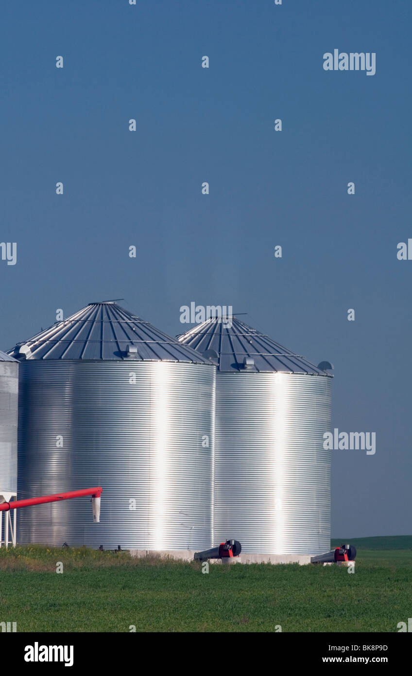 Large Metal Grain Bins, Alberta, Canada Stock Photo Alamy