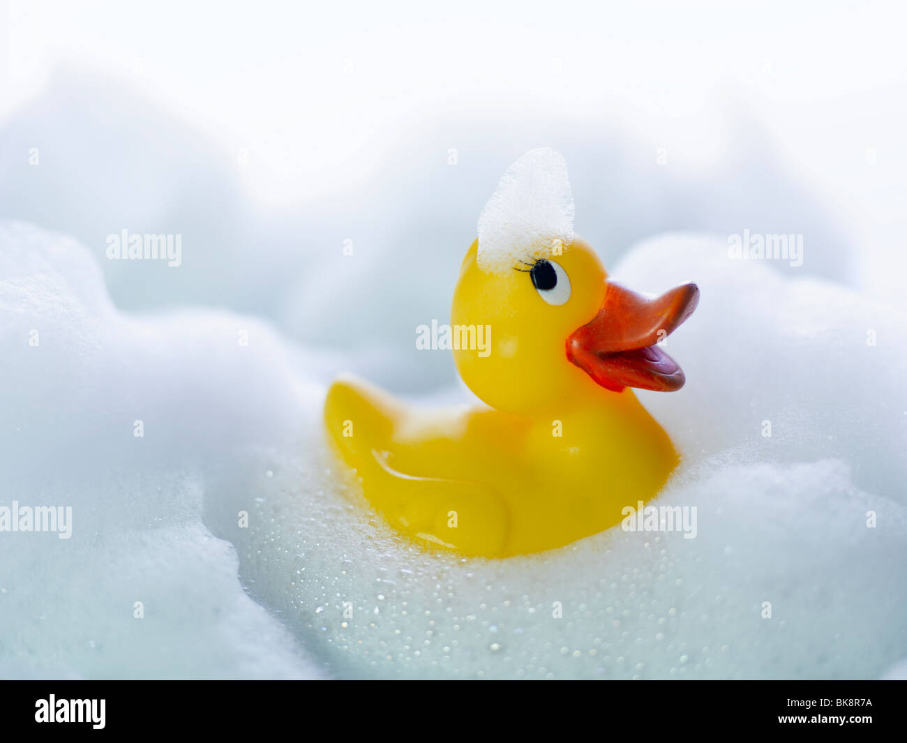 Rubber duck, plastic duck, yellow, foam Stock Photo