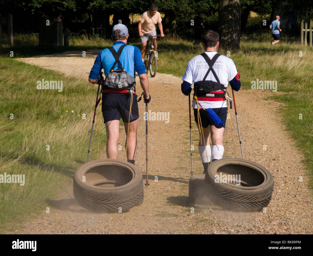 Two men fitness training / exercising by pulling tyres while Nordic walking. Richmond Park. Richmond. London. UK. Stock Photo