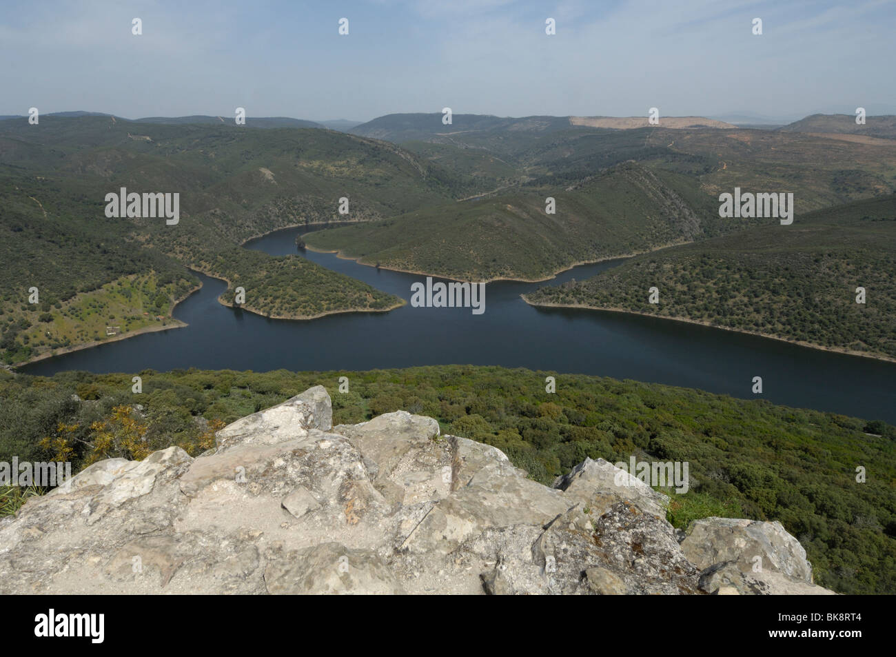 Dehesa landscape Extremadura with river Tagus Stock Photo - Alamy