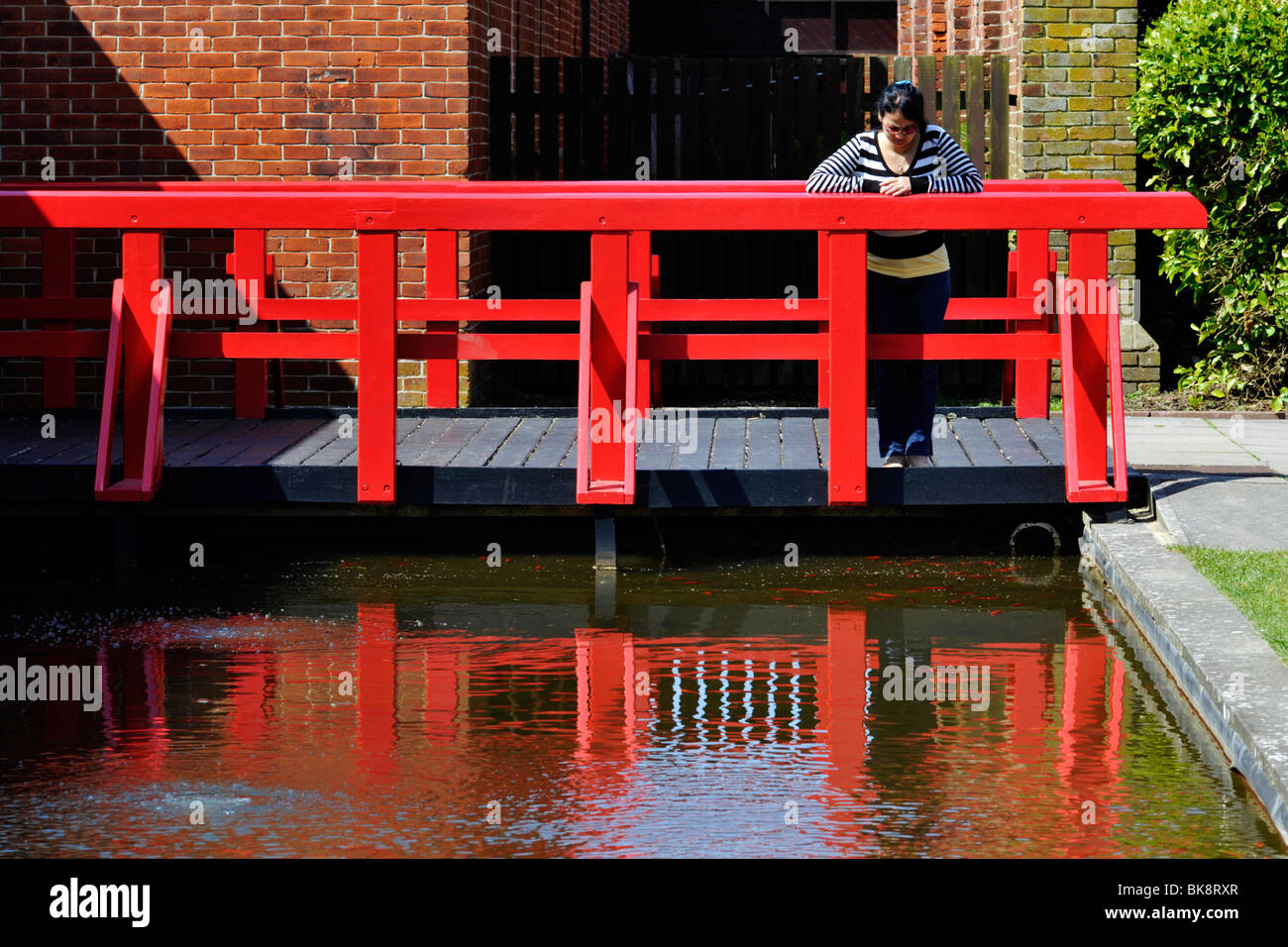 young woman standing on red wooden bridge looking at goldfish in small ornamental pond england Stock Photo