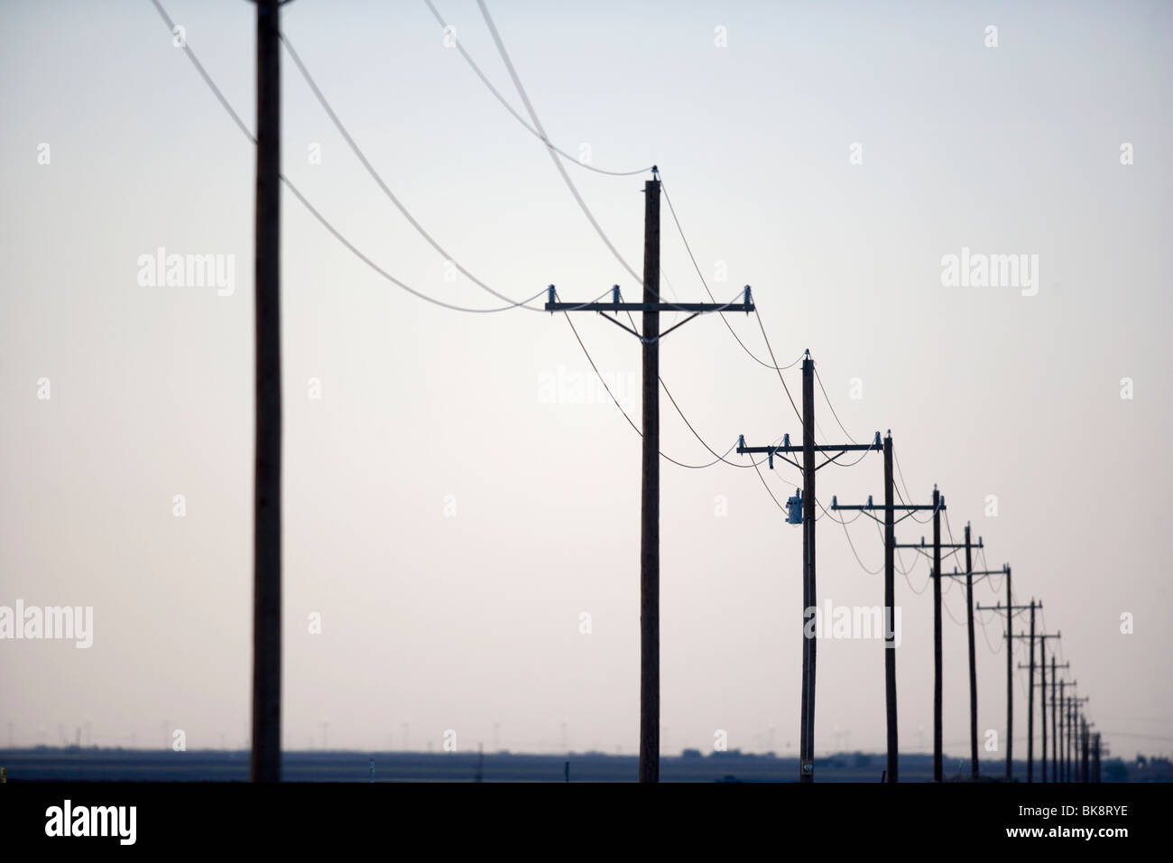 USA, West Texas, Roscoe County, telegraph poles in row at dusk Stock