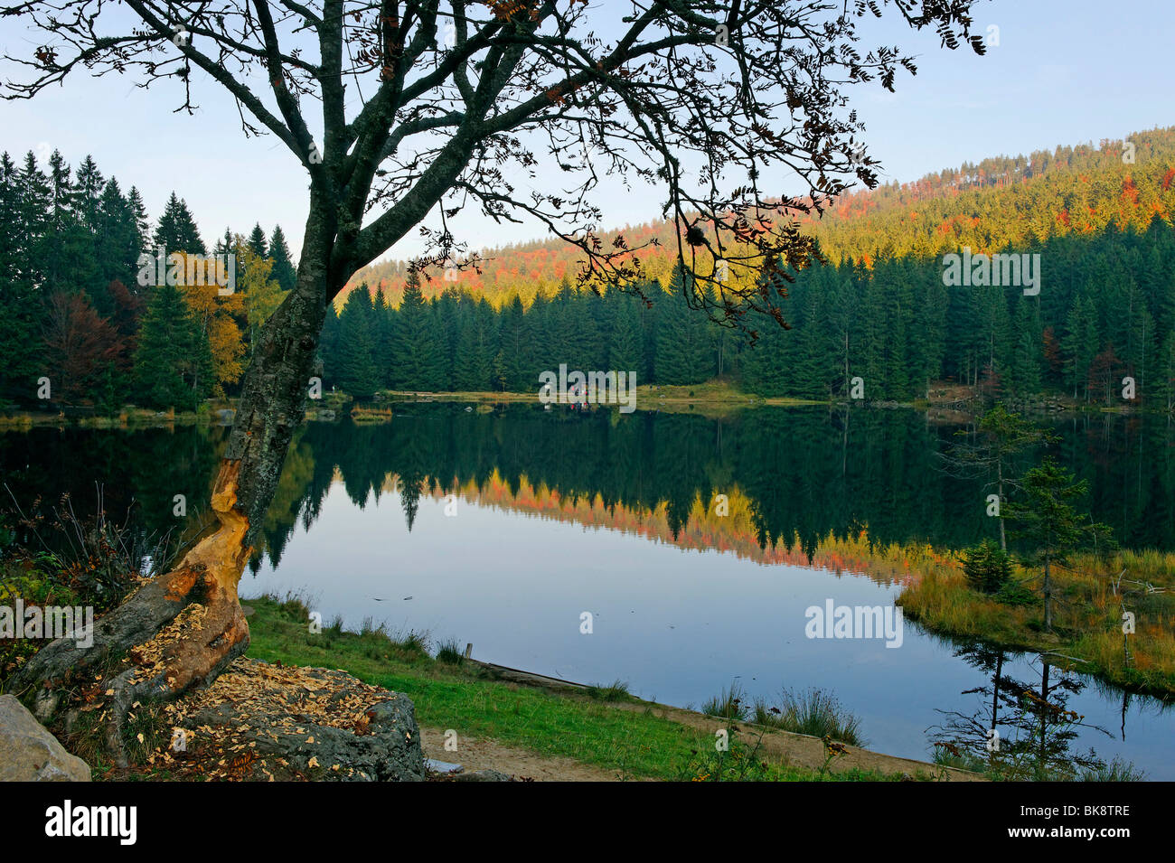 Kleiner Arbersee lake, Upper Palatinate, Bavaria, Germany, Europe Stock Photo