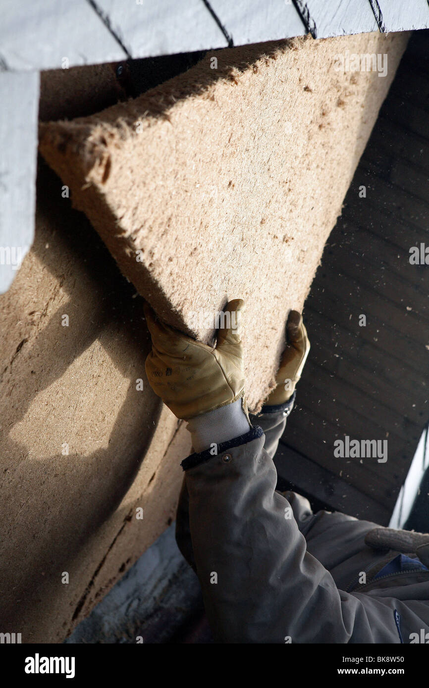 7 eco-friendly insulation alternatives for a green home - Inhabitat - Apartment Renovation Eco-Friendly Insulation