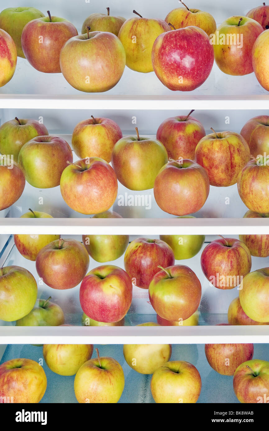 apples in the refrigerator Stock Photo Alamy