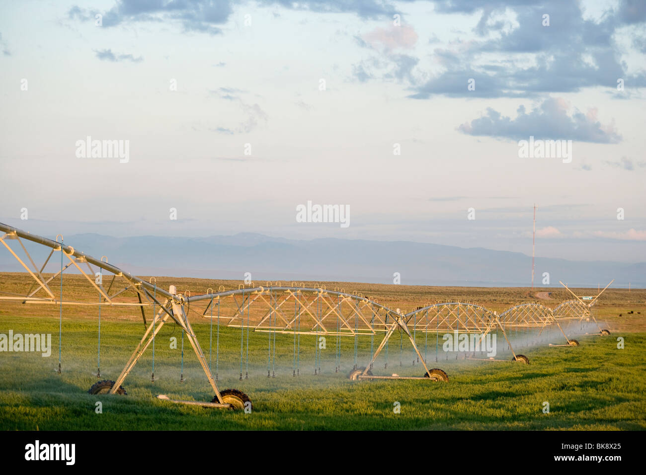 USA, Colorado, farm watering system Stock Photo