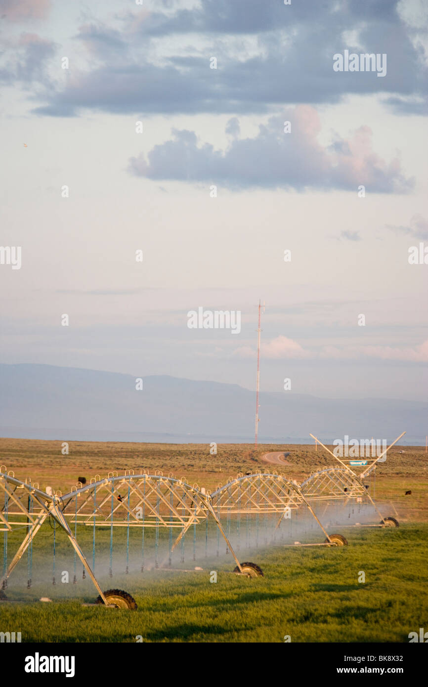 USA, Colorado, farm watering system Stock Photo