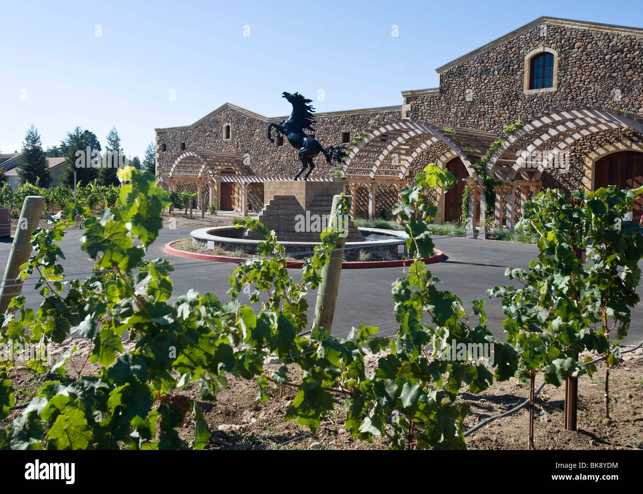 United States wine growing in California Stock Photo Alamy