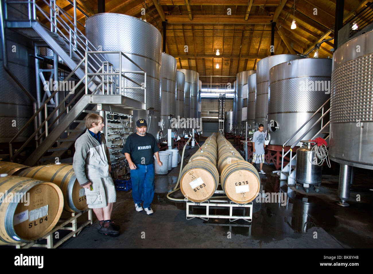 United States wine growing in California Stock Photo Alamy