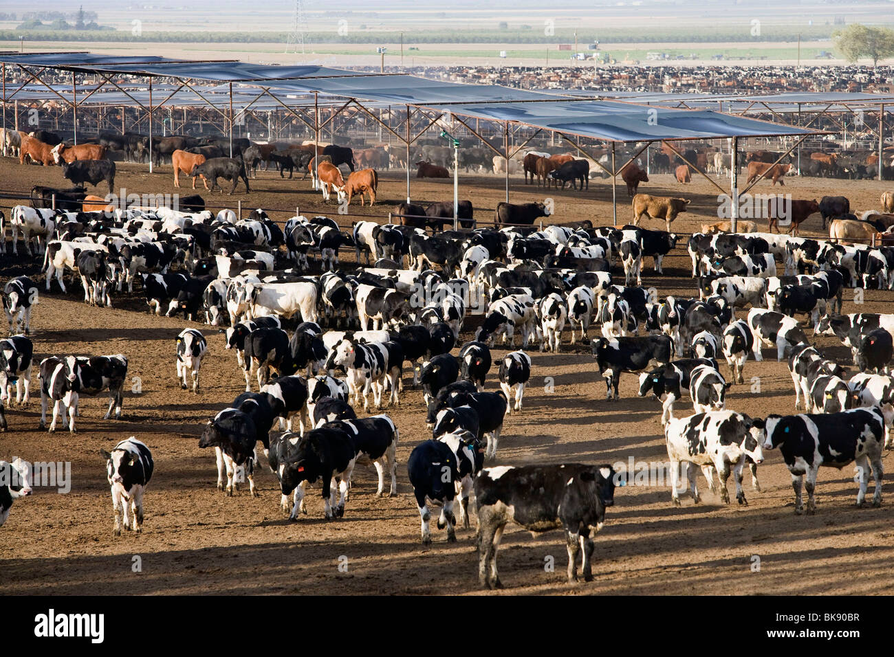 United States: ranch in California Stock Photo - Alamy