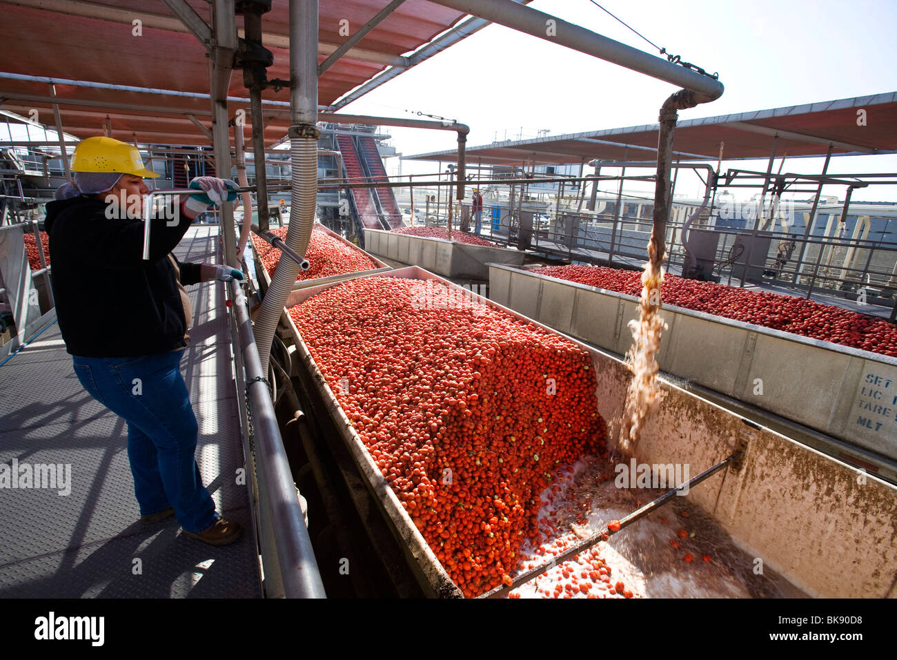 United States foodprocessing factory in California Stock Photo Alamy