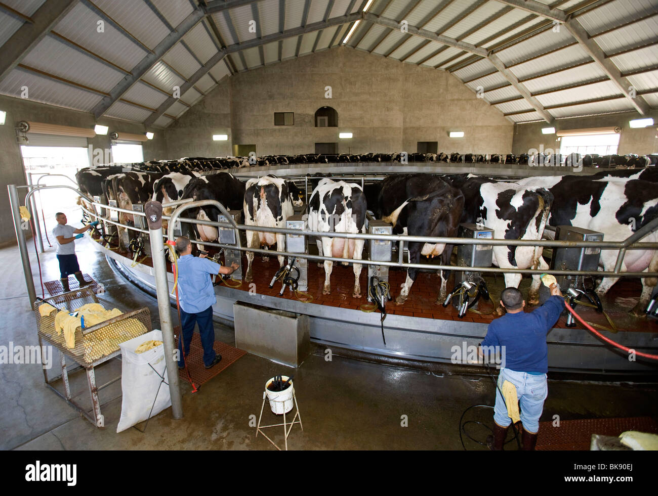United dairy farm in california hires stock photography and images Alamy