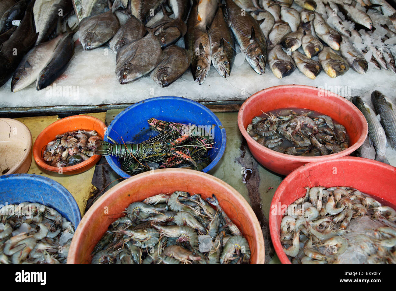 Fish for sale at the fish market in Kochi (Cochin), Kerala, India Stock