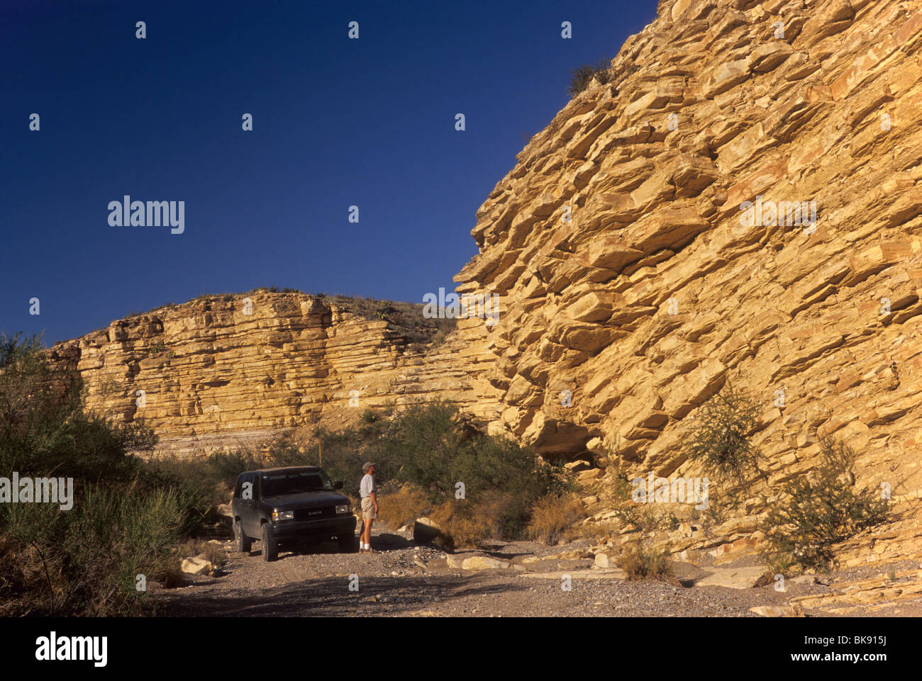 Boquillas Formation limestone-shale layers at Tinaja Carlota area in Big Bend National Park, Texas, USA Stock Photo