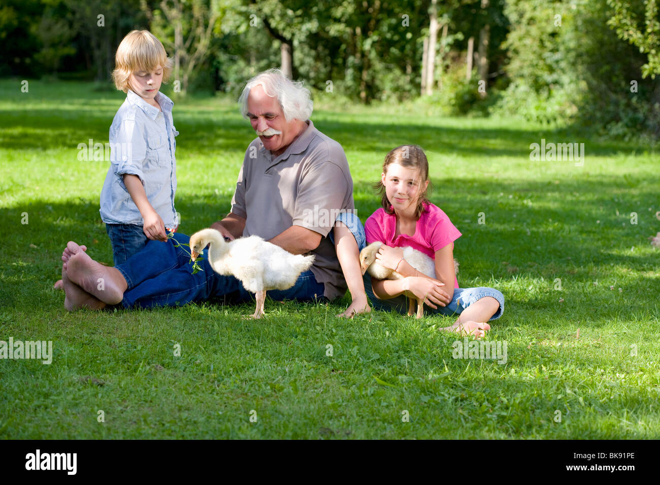Grandfather and grandchildren with geese Stock Photo