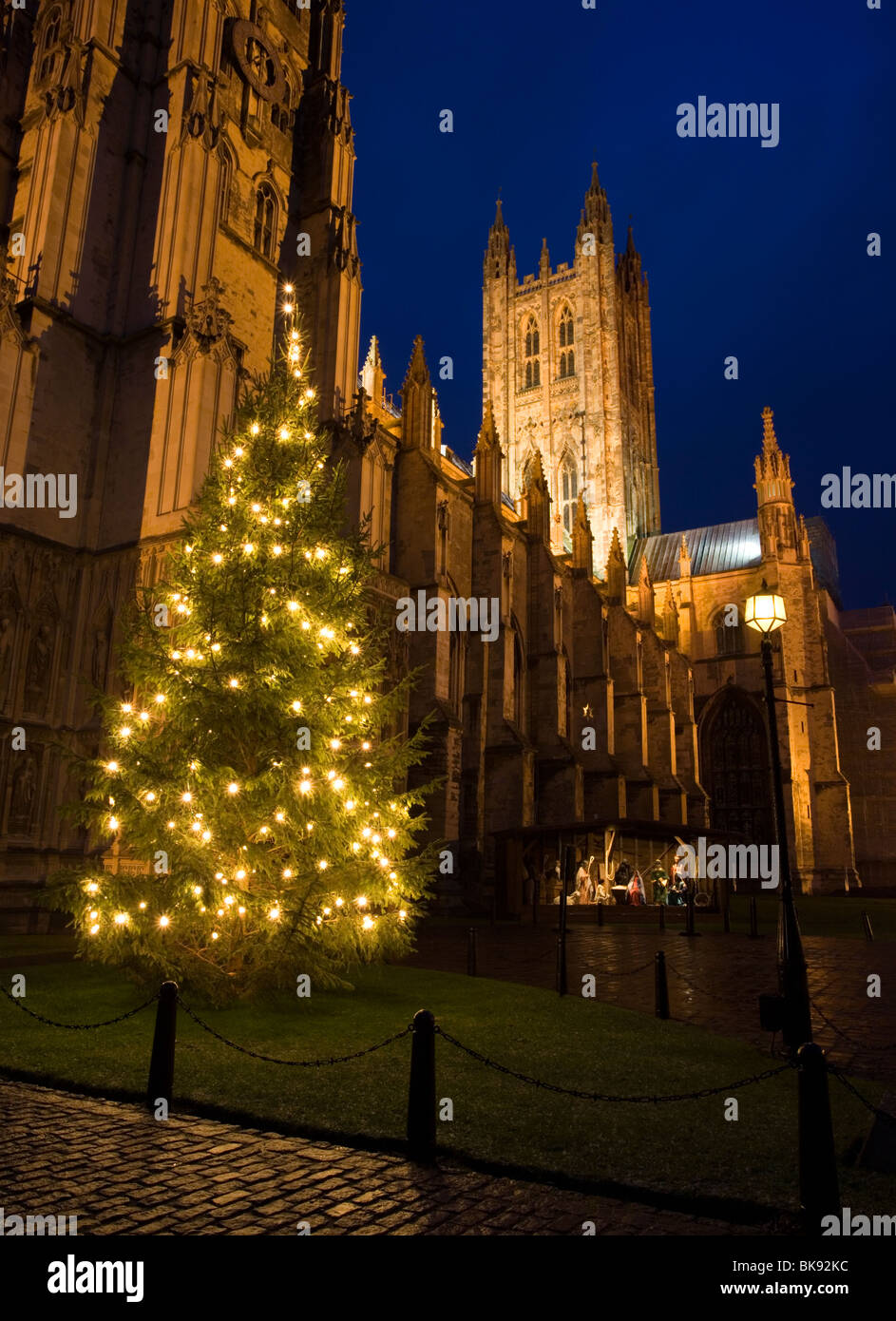 Christmas tree and stall with nativity scene at Canterbury Cathedral in