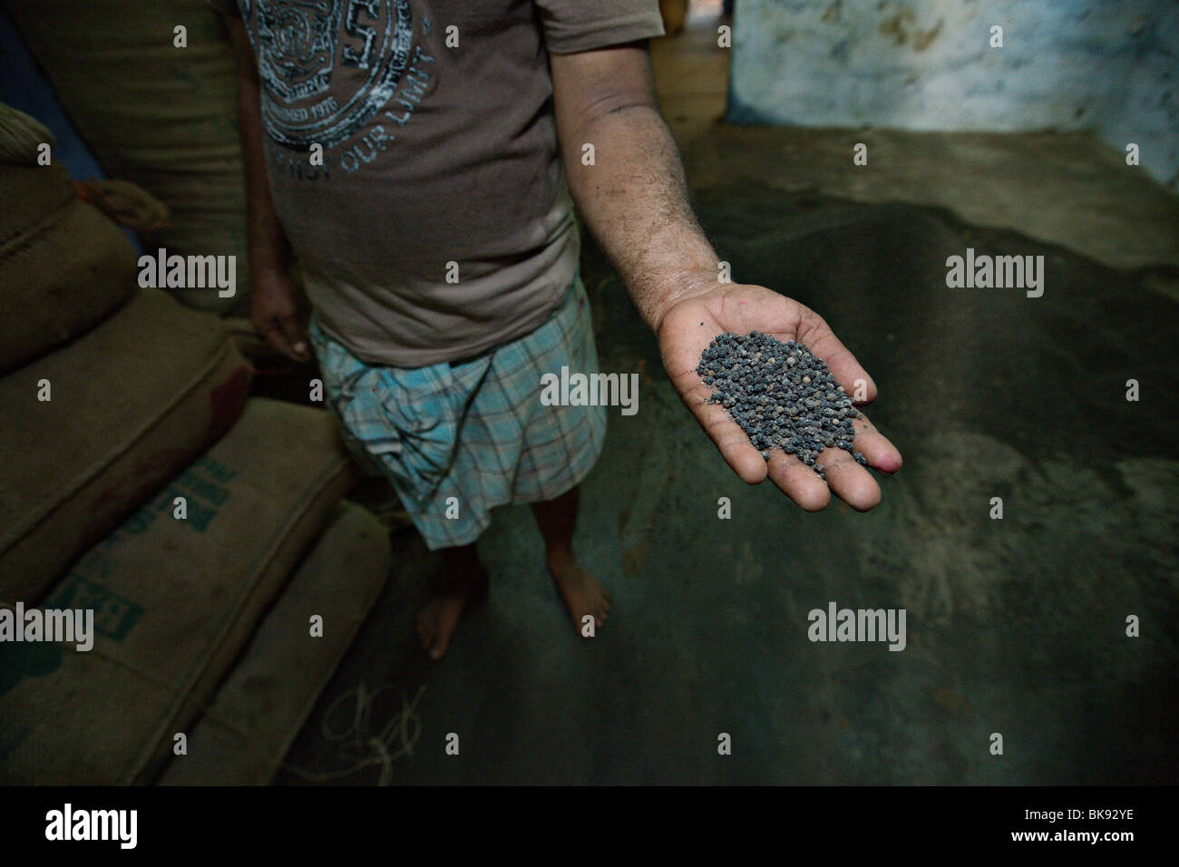 Black pepper factory in Kochi (Cochin), Kerala, India Stock Photo Alamy