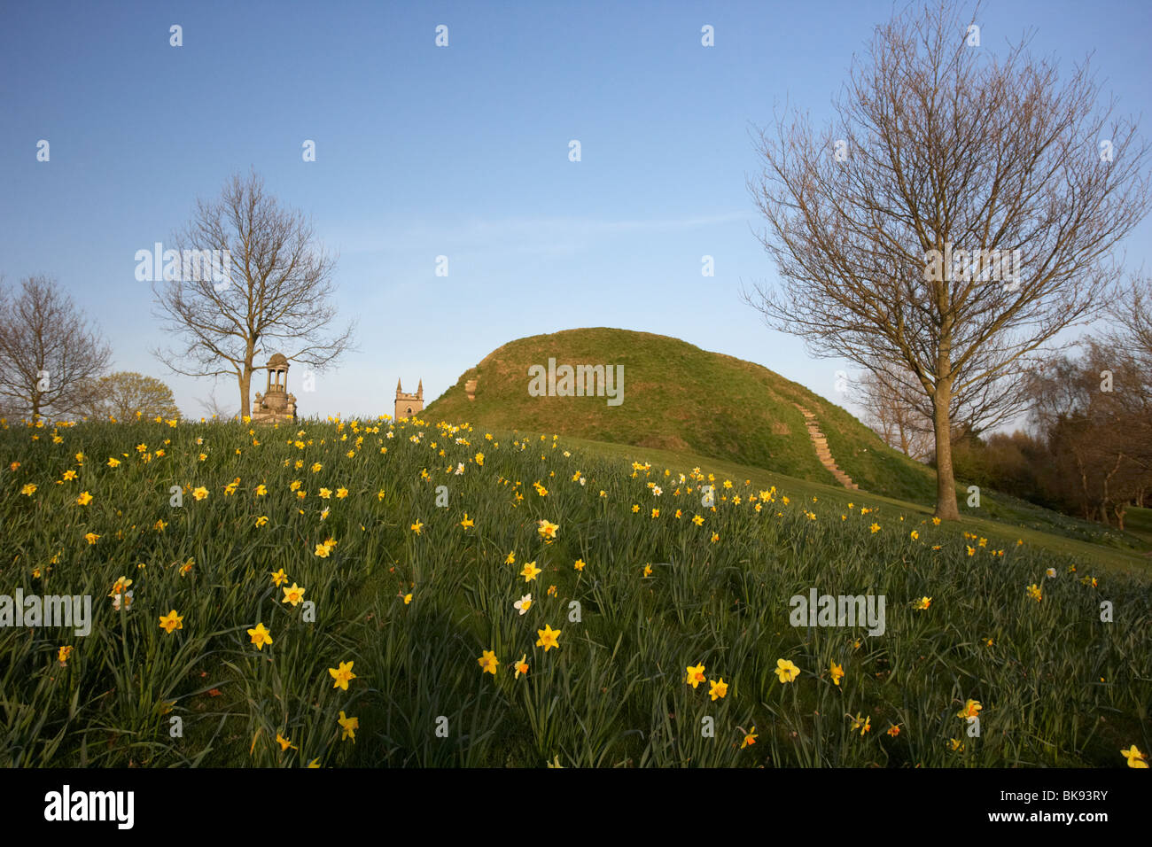 Dundonald moat or motte man made artificial mound for a fort county down northern ireland uk Stock Photo
