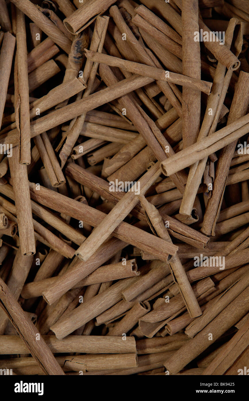 Malabar cinnamon hires stock photography and images Alamy
