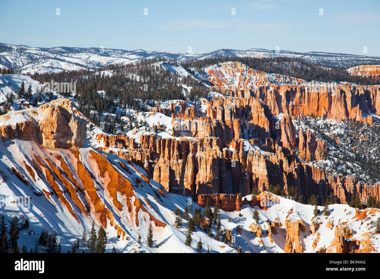 As viewed from Rainbow Point, thin, protruding spires of rock, hoodoos have been formed over thousands of years by erosion. Stock Photo