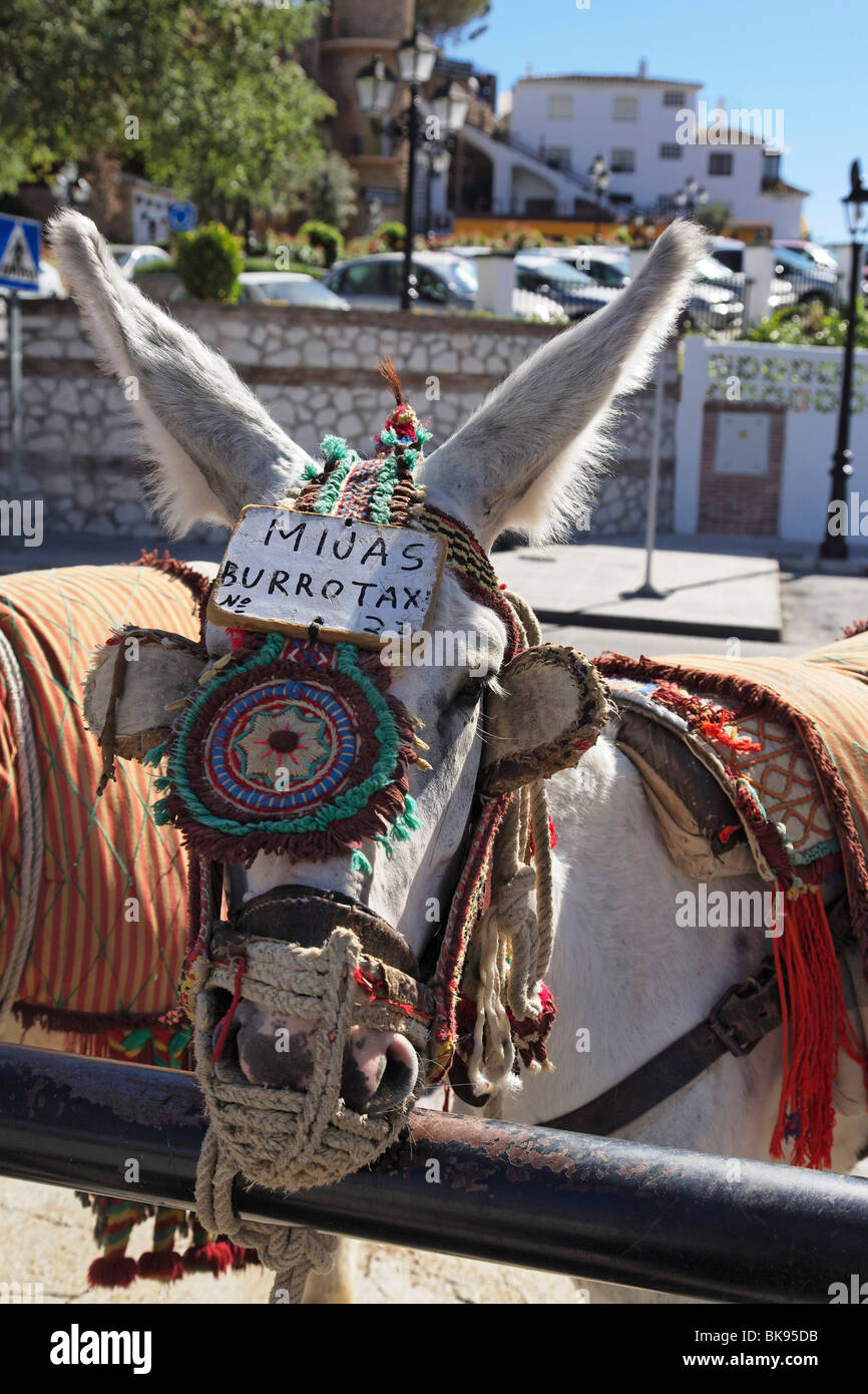 Donkey taxi, Mijas, Andalusia, Spain Stock Photo Alamy