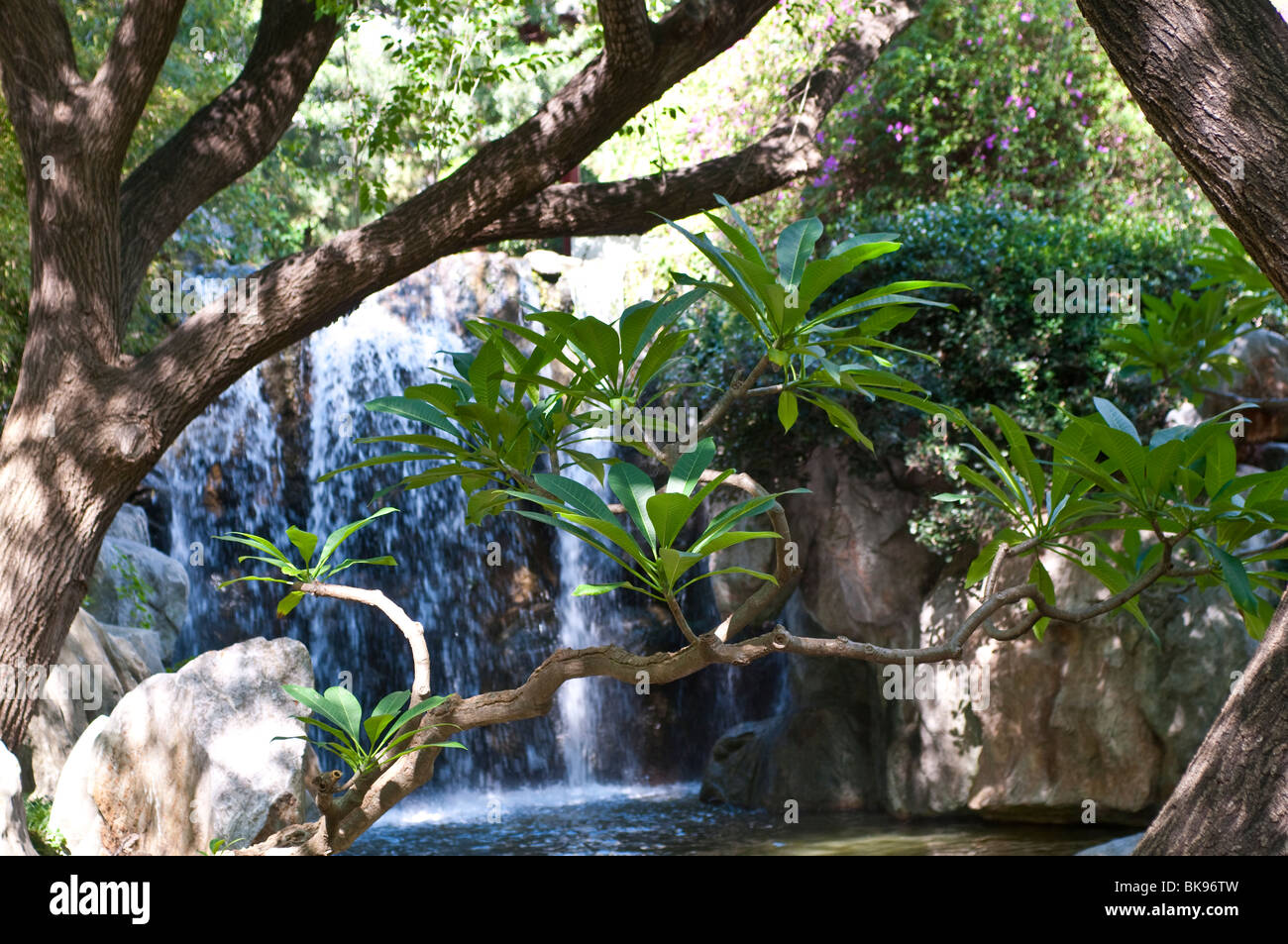 Garden waterfall feature hi-res stock photography and images - Alamy