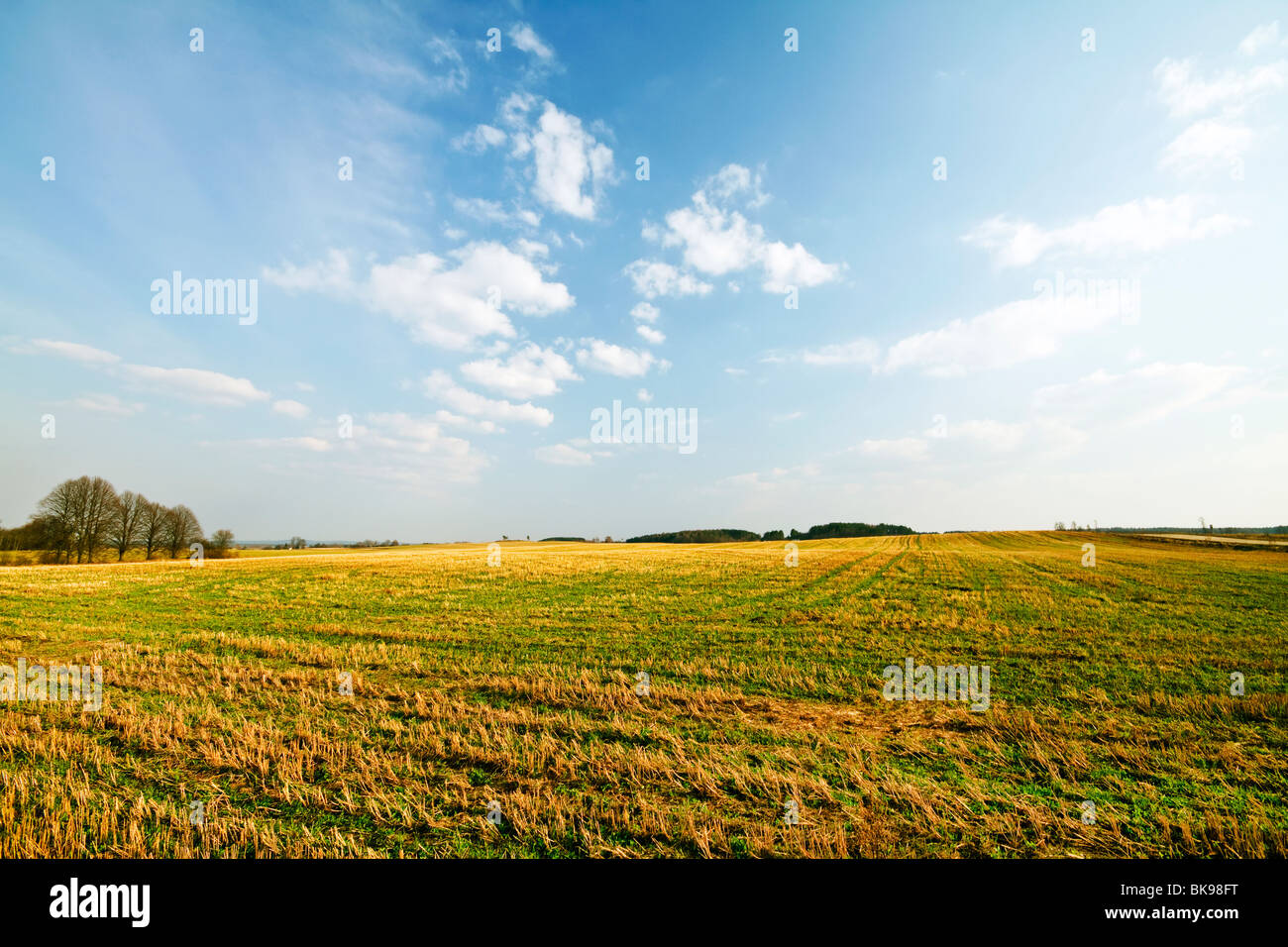 Lush field and open sky hi-res stock photography and images - Alamy
