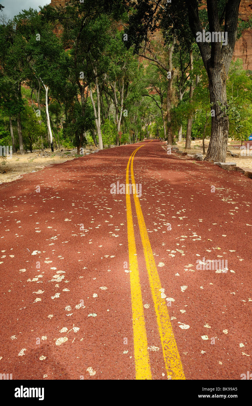 Paved road crossing Zion National Park, Utah, USA Stock Photo