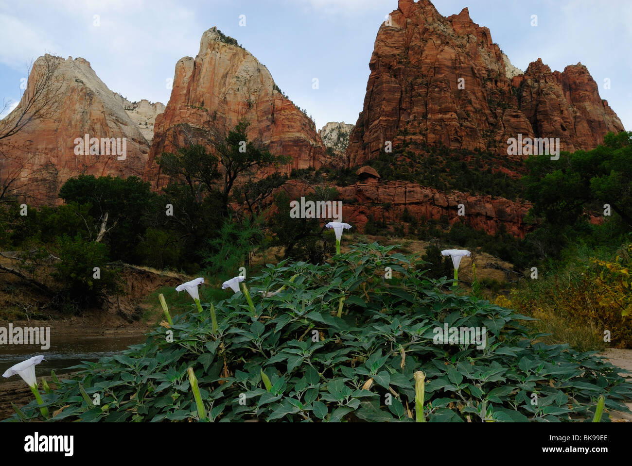Patriarchs abraham isaac jacob hi-res stock photography and images - Alamy