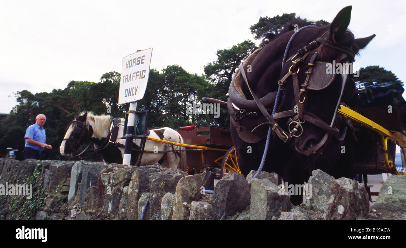 Horse buggy in front of Muckross House and Gardens, County Kerry, Ireland, in September 2009 Stock Photo