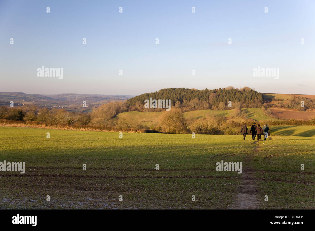 People taking a winter walk across the fields near Axmouth, Devon Stock Photo