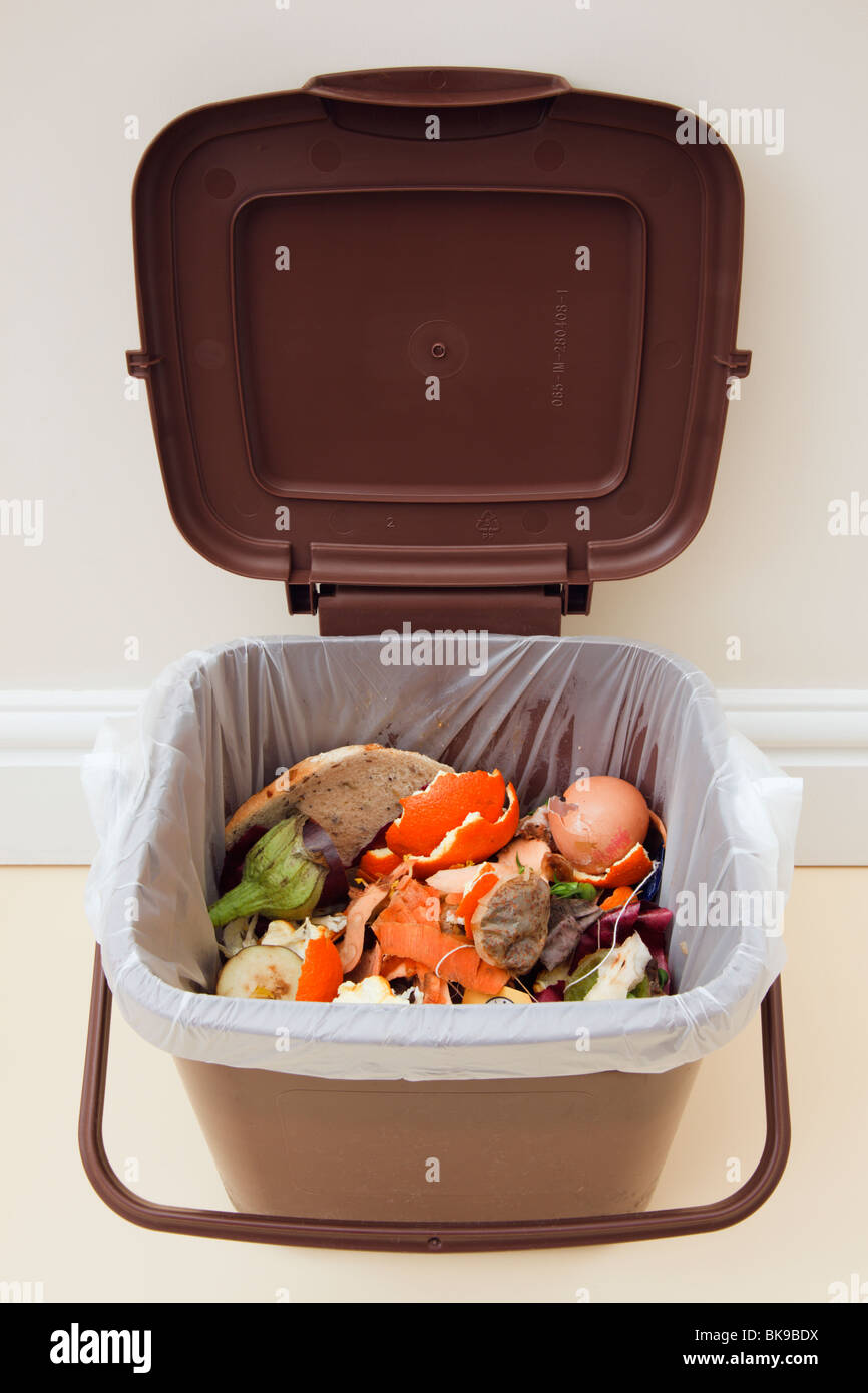 Domestic food waste in indoor food recycling bin with lid open indoors at home. Wales, UK, Britain Stock Photo