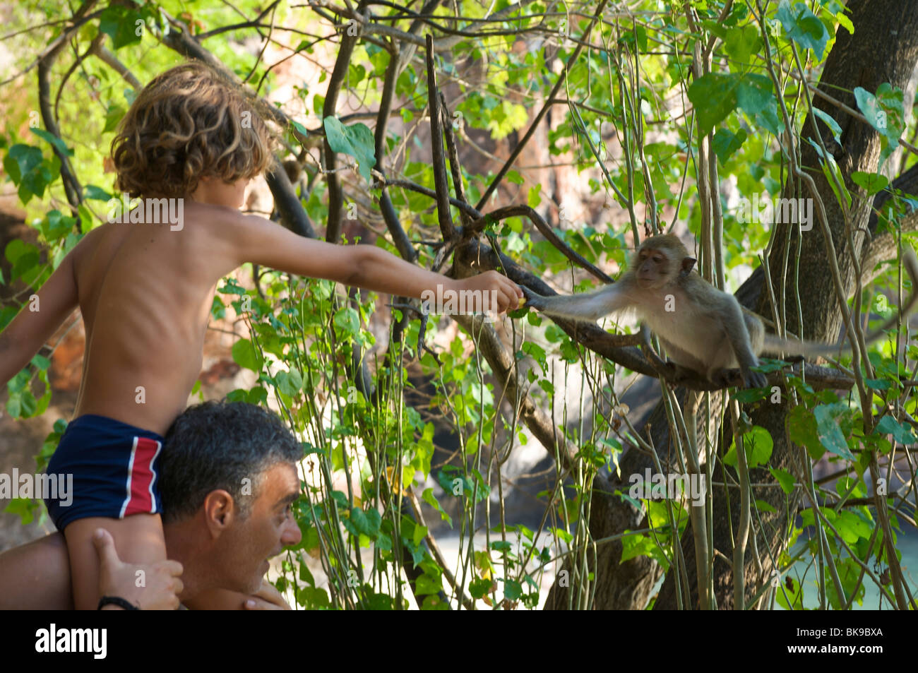 Tourists with monkeys at Laem Phra Nang Beach, Krabi, Thailand, Asia Stock Photo