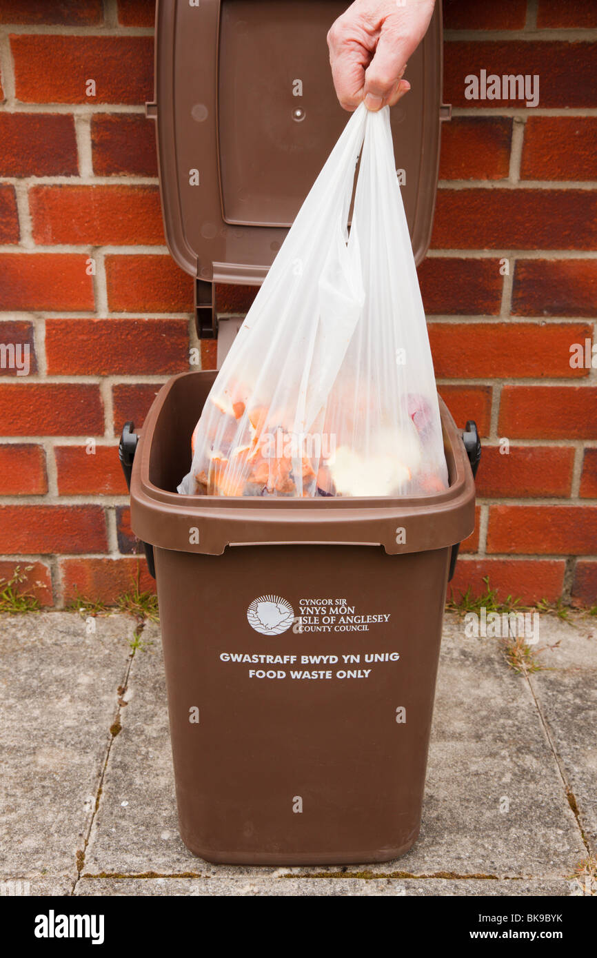 Person putting plastic bag of domestic food waste into outdoor food waste bin outside a house for collection. Wales, UK Stock Photo