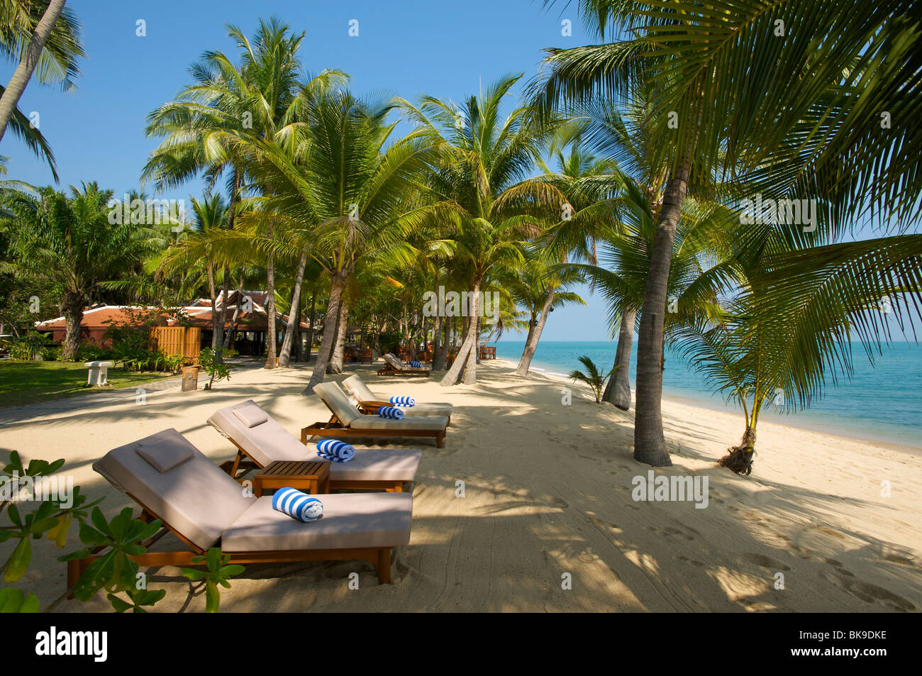 Santiburi Resort at Mae Nam Beach, Ko Samui island, Thailand, Asia Stock Photo