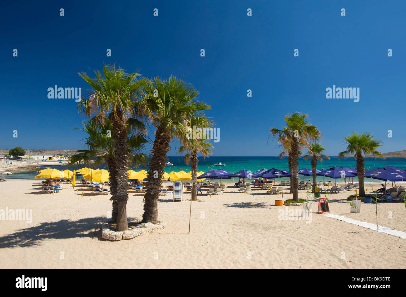 Palm beach of the Armier Bay, Malta, Europe Stock Photo