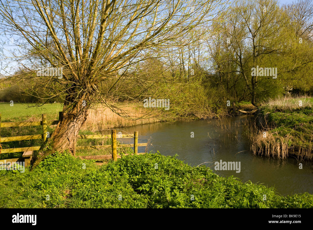 The River Cherwell in Oxfordshire, Spring sunshine Stock Photo Alamy
