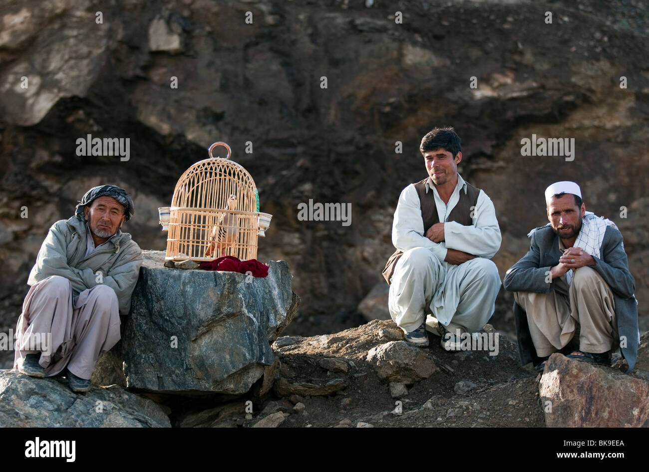 Afghans waiting with their fighting bird. Life in Kabul is full of interesting faces with experience etched into their faces. Stock Photo