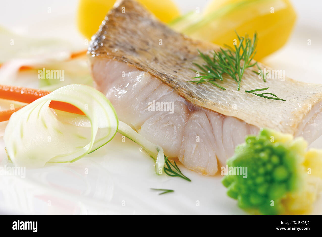 Zander Filet High Resolution Stock Photography and Images - Alamy