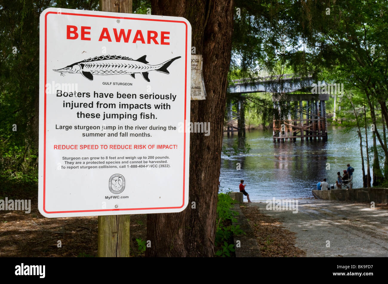 warning sign for boaters about jumping sturgeon fish along the Suwannee River in North Florida Stock Photo