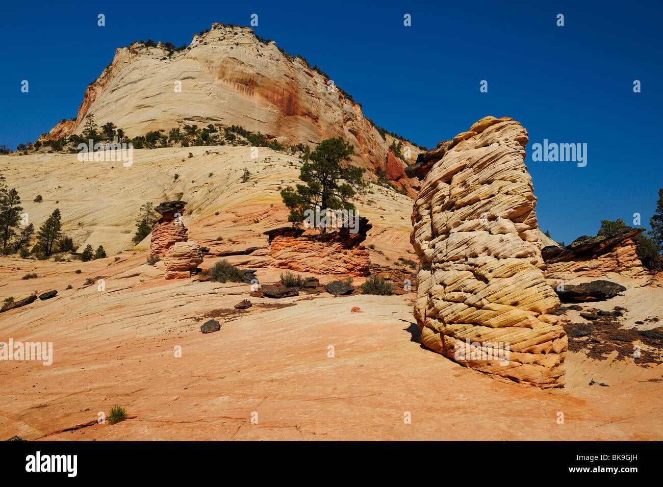 Scenic view on the east side of Zion National Park, Utah, USA Stock Photo