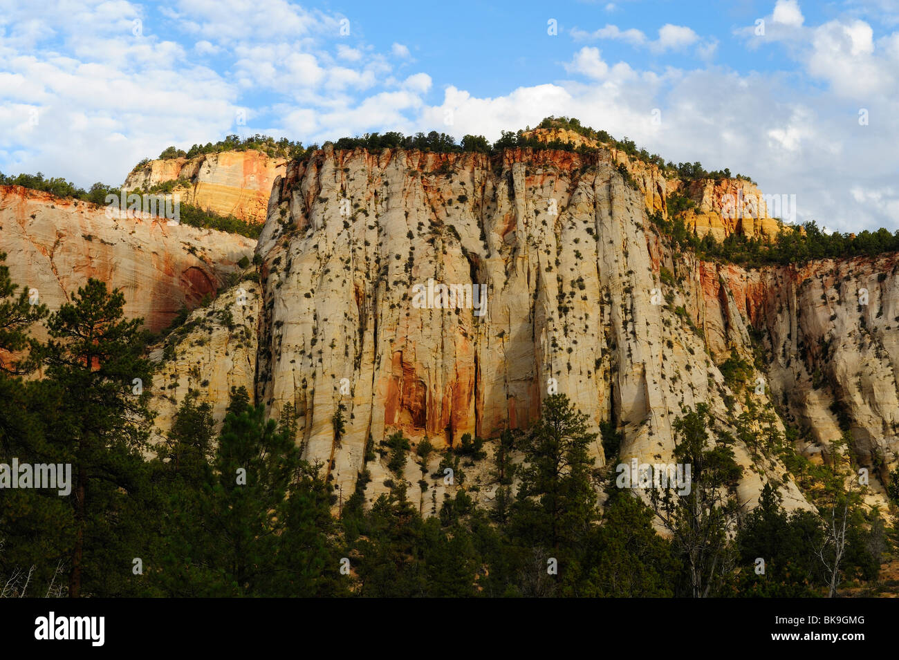 Scenic view on the east side of Zion National Park, Utah, USA Stock Photo