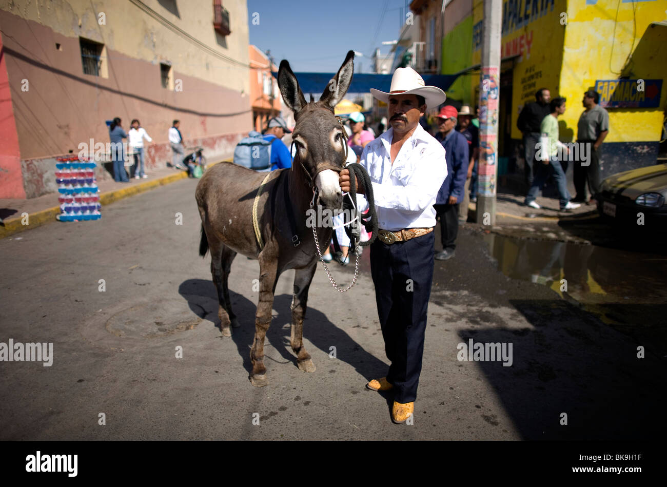 A man stands with his donkey at the 48th annual Donkey Festival in Otumba village, Mexico, May 1, 2008. Stock Photo