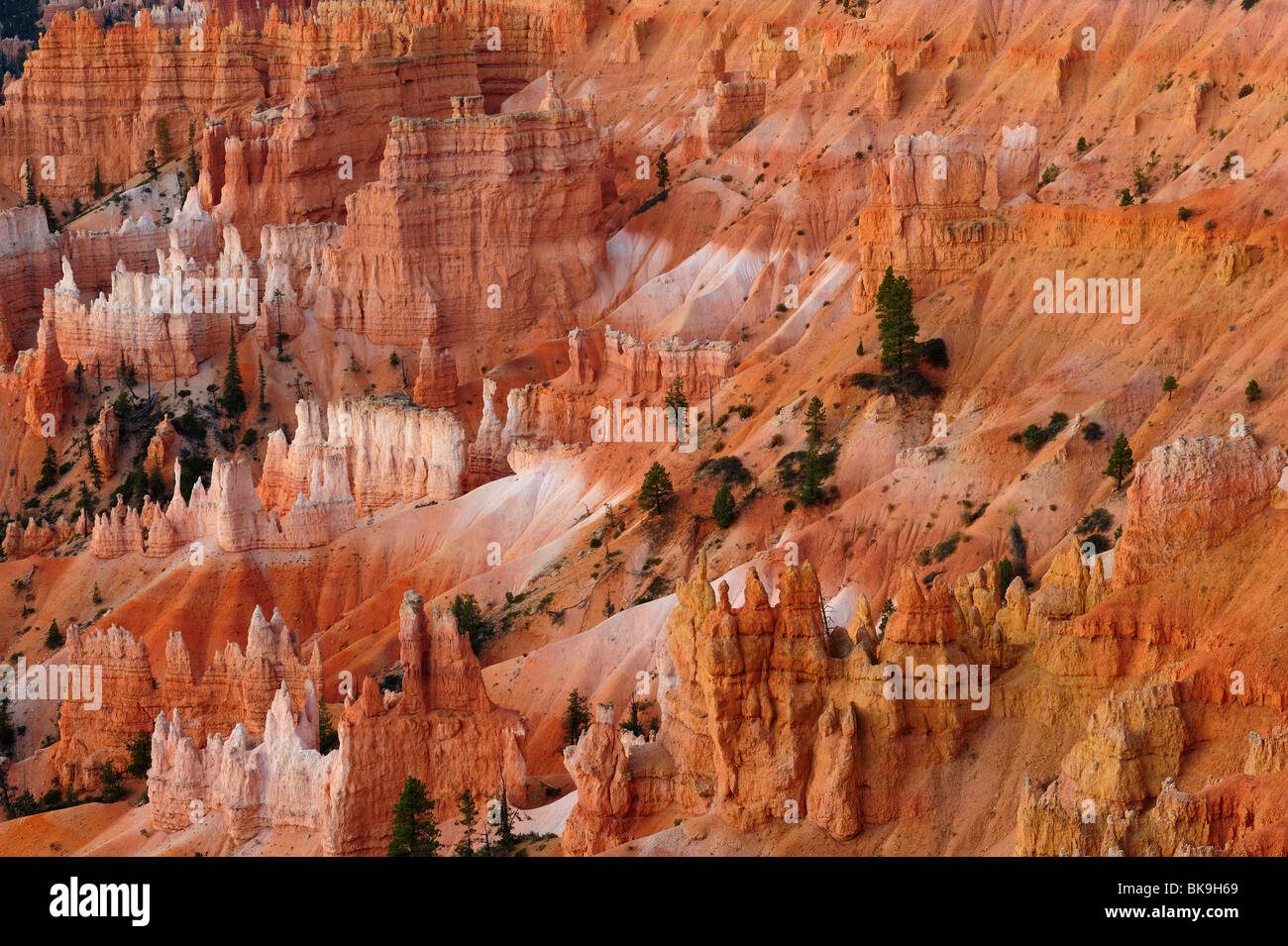 Scenic view on Bryce Canyon from Sunrise point, Utah, USA Stock Photo