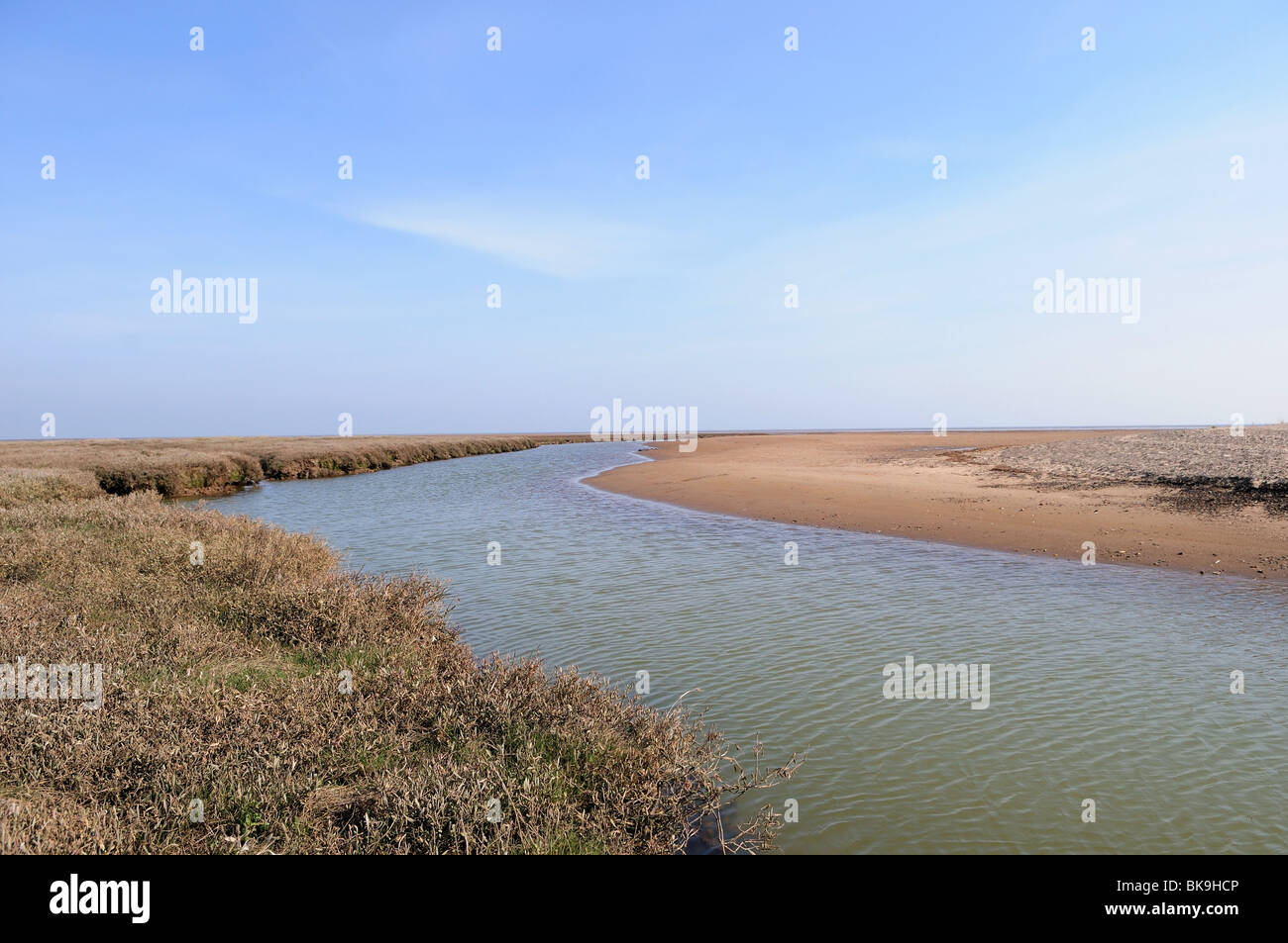 Saltfleet  (Donna nook)Lincolnshire England. Stock Photo